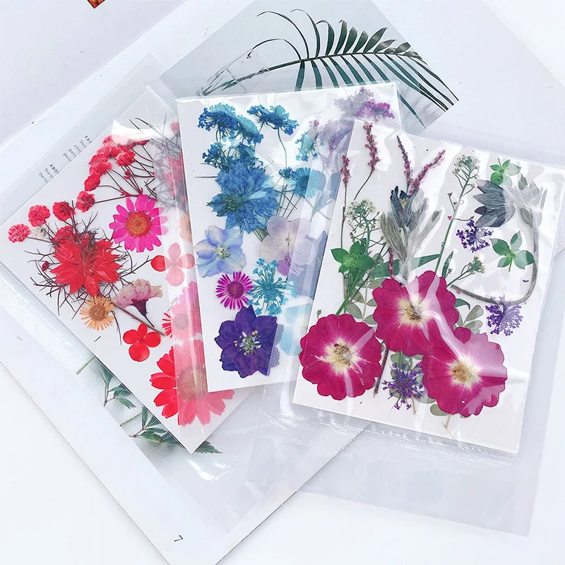 20PCS Set Pressed Dried for Re - Jewelry Making 3 Year Old reseña y precio