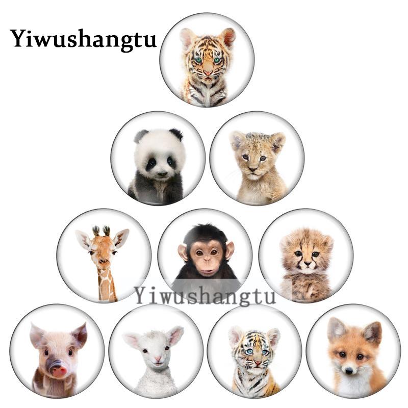 New Baby Animals sheep pig tig - Jewelry Making 3 Year Old reseña y precio