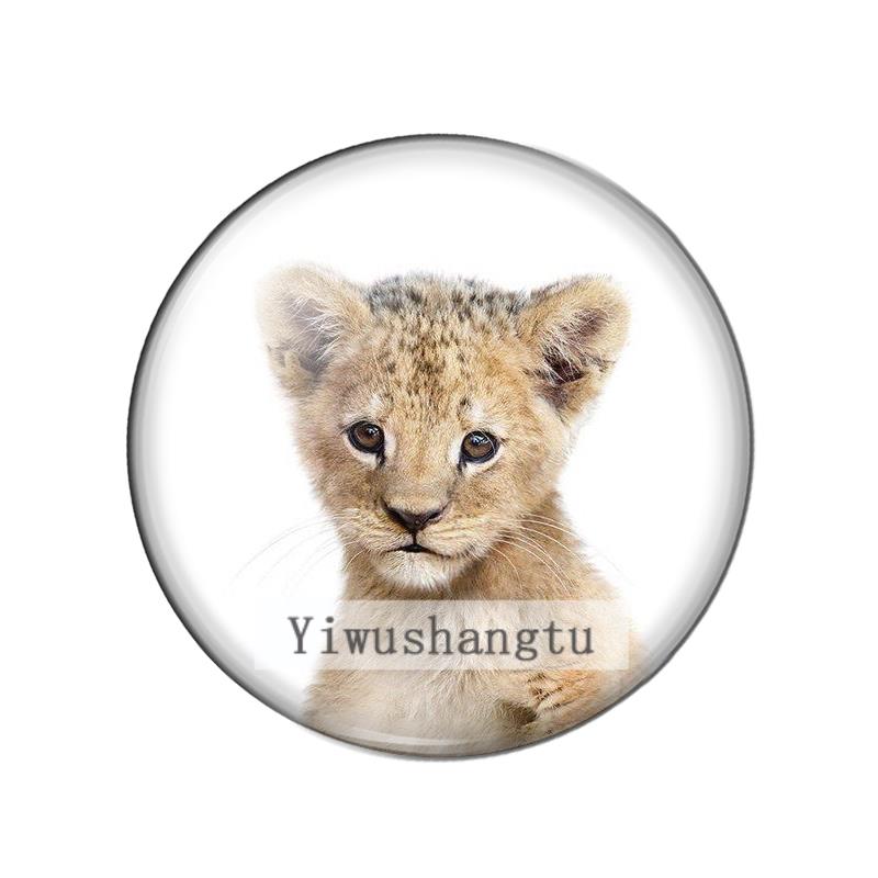 New Baby Animals sheep pig tig - Jewelry Making 3 Year Old reseña y precio