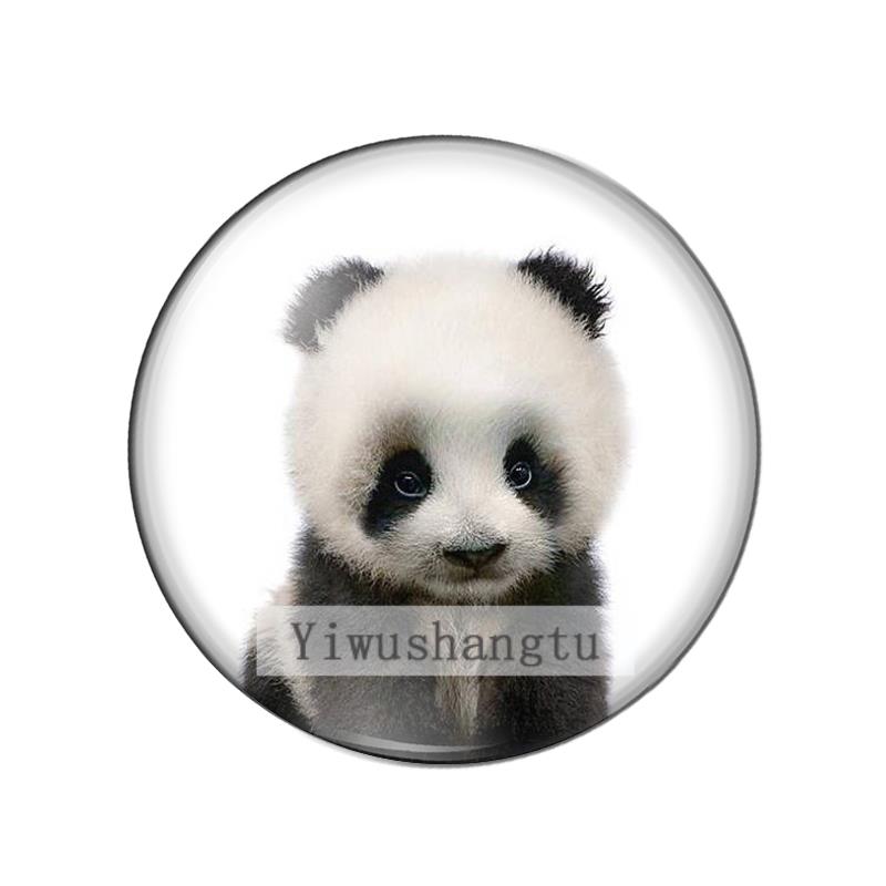 New Baby Animals sheep pig tig - Jewelry Making 3 Year Old reseña y precio